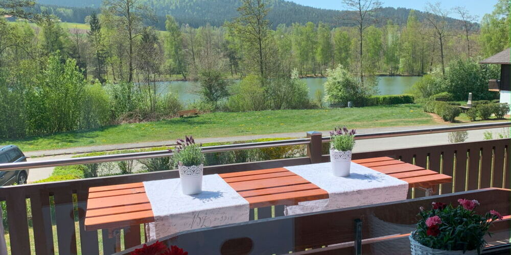 Urlaub im Feriendorf Wellness Therme Bad Kötzting Reiterhof 150 m entfernt
